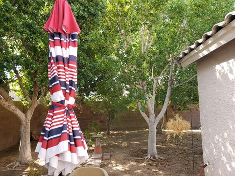 5011 E Casper St, Mesa, AZ 85205 photo 2