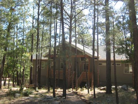4227 Apache Dr, Happy Jack, AZ 86024 photo 3