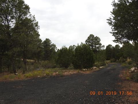 3347 Apache Dr, Overgaard, AZ 85933 photo 10