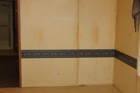 109 E Michigan Ave, Phoenix, AZ 85022 photo 11