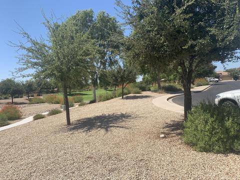 4836 E Thunderbird Dr, Chandler, AZ 85249 photo 22