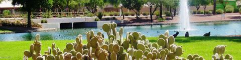 3944 E South Fork Dr, Phoenix, AZ 85044 photo 31
