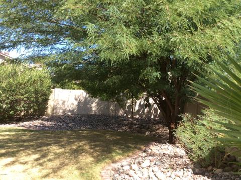 1447 E Piute Ave, Phoenix, AZ 85024 photo 26