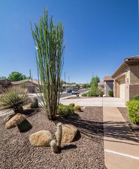 4298 E Blue Spruce Ln, Gilbert, AZ 85298 photo 3