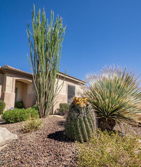 4298 E Blue Spruce Ln, Gilbert, AZ 85298 photo 2