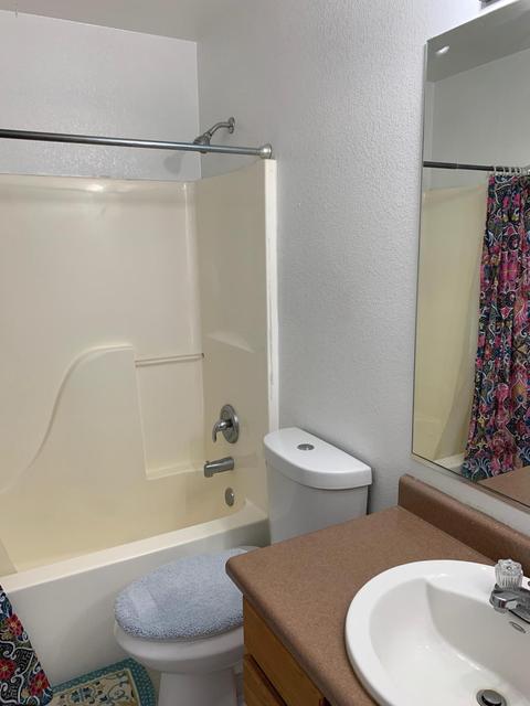 857 E Appaloosa Rd, Gilbert, AZ 85296 photo 15