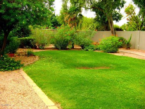 1445 E Palomino Dr, Tempe, AZ 85284 photo 5