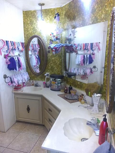 4248 E Minton St, Phoenix, AZ 85042 photo 9