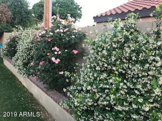 511 E Georgia Ave, Phoenix, AZ 85012 photo 38