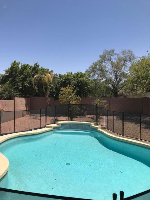 2569 W Hawks Eye Ave, Apache Junction, AZ 85120 photo 4