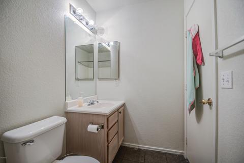 111 E Beth Dr, Phoenix, AZ 85042 photo 30