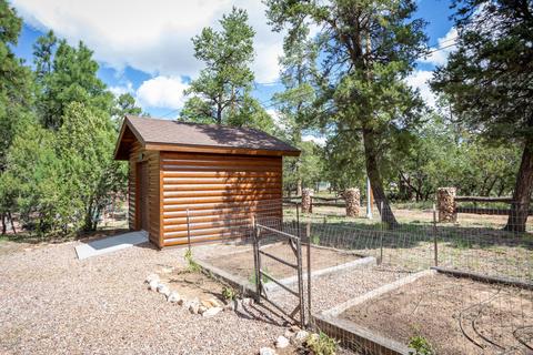 2937 Antelope Trl, Overgaard, AZ 85933 photo 28