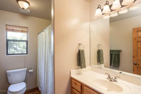 2937 Antelope Trl, Overgaard, AZ 85933 photo 14