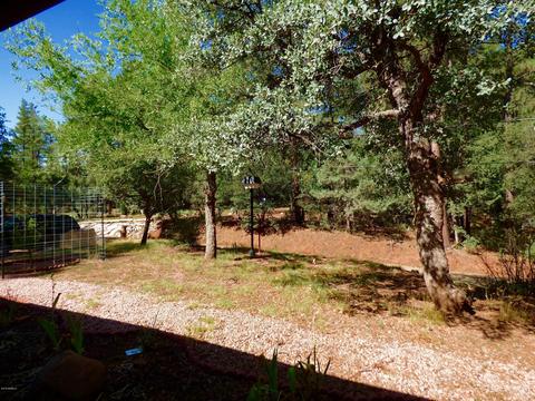 3675 Papago Ln, Pine, AZ 85544 photo 3