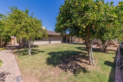 233 E Silver Creek Rd, Gilbert, AZ 85296 photo 19
