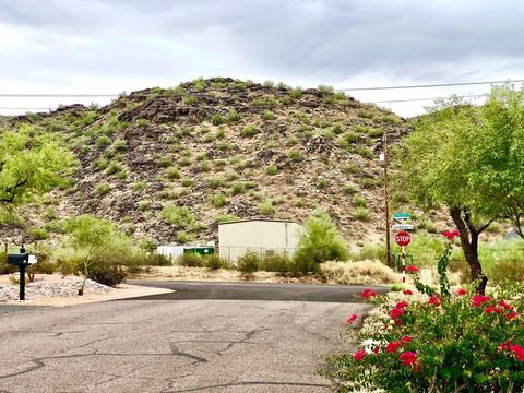 9032 S 17th Pl, Phoenix, AZ 85042 photo 4