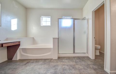 3348 E Geronimo Ct, Gilbert, AZ 85295 photo 24