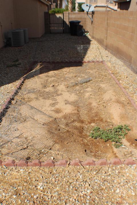 3557 E Longhorn Dr, Gilbert, AZ 85297 photo 41