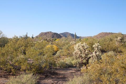 9559 E Kramer Cir, Mesa, AZ 85207 photo 38