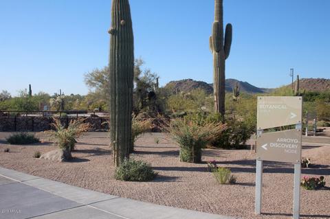 9559 E Kramer Cir, Mesa, AZ 85207 photo 36