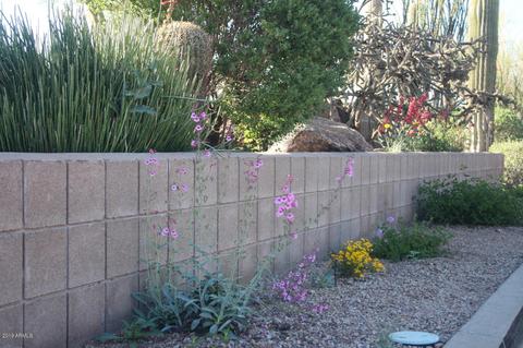 9559 E Kramer Cir, Mesa, AZ 85207 photo 30