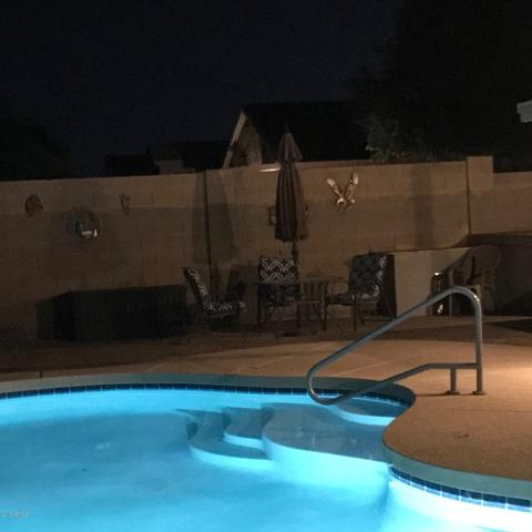 1005 E Pedro Rd, Phoenix, AZ 85042 photo 13