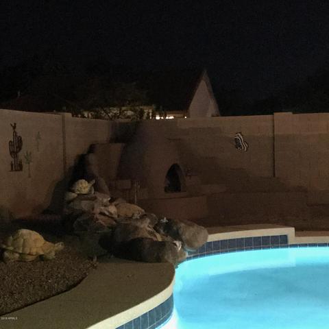 1005 E Pedro Rd, Phoenix, AZ 85042 photo 14