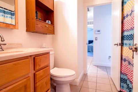 1005 E Pedro Rd, Phoenix, AZ 85042 photo 22