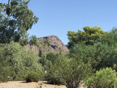 764 E Joan D Arc Ave, Phoenix, AZ 85022 photo 17