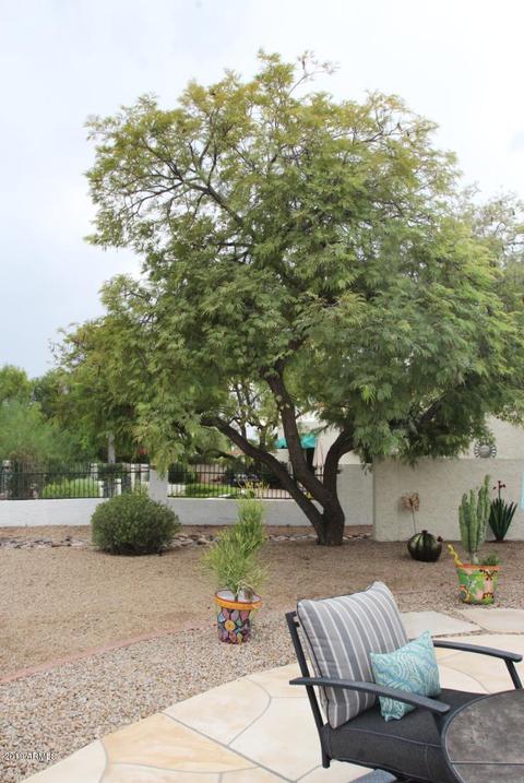 1814 E Augusta Ave, Phoenix, AZ 85020 photo 29