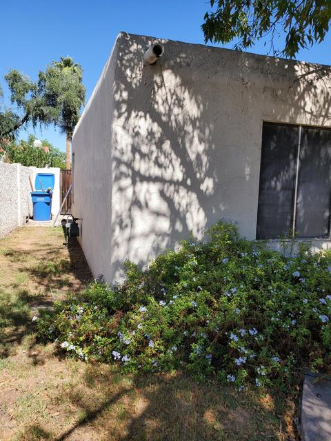 215 W Echo Ln, Phoenix, AZ 85021 photo 8