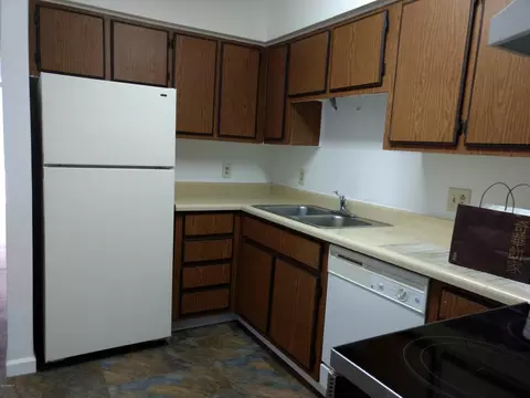 2827 E Le Marche Ave, Phoenix, AZ 85032 photo 9
