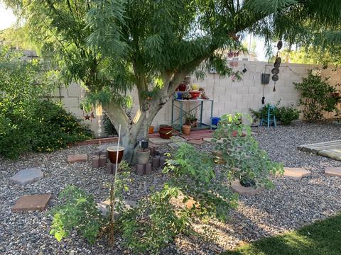 8515 E Milagro Ave, Mesa, AZ 85209 photo 29