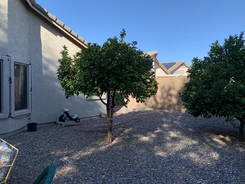 8515 E Milagro Ave, Mesa, AZ 85209 photo 28