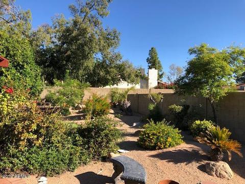 1066 E Hope St, Mesa, AZ 85203 photo 67