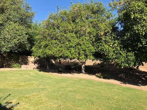 1066 E Hope St, Mesa, AZ 85203 photo 71