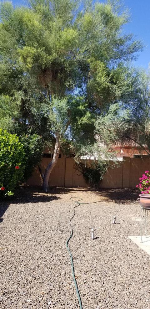 2250 E Deer Valley Rd #114, Phoenix, AZ 85024 photo 9