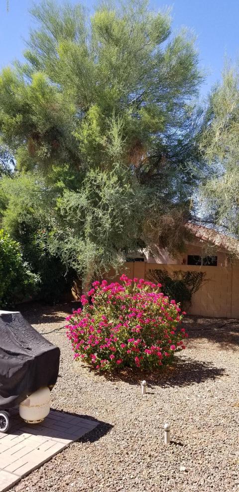 2250 E Deer Valley Rd #114, Phoenix, AZ 85024 photo 10