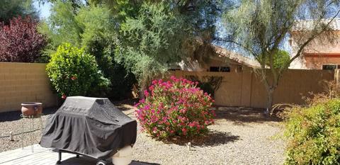 2250 E Deer Valley Rd #114, Phoenix, AZ 85024 photo 7