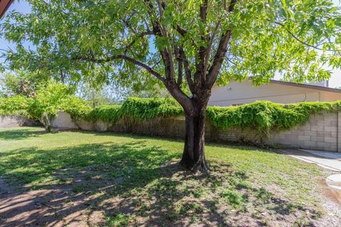 1057 E Carter Dr, Tempe, AZ 85282 photo 17