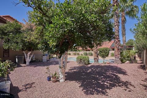 3432 Enrose St, Mesa, AZ 85213 photo 34