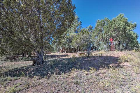 2242 Forest Park Dr, Overgaard, AZ 85933 photo 26