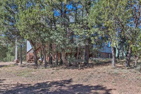 2242 Forest Park Dr, Overgaard, AZ 85933 photo 27