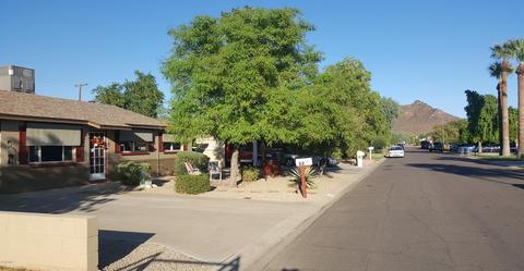 826 E Diana Ave, Phoenix, AZ 85020 photo 7