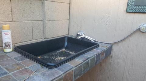 826 E Diana Ave, Phoenix, AZ 85020 photo 37