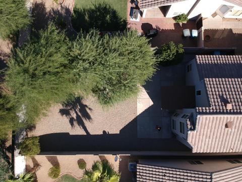3128 Escuda Rd, Phoenix, AZ 85050 photo 3