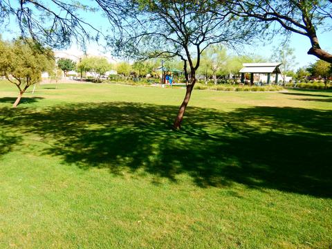 2136 E Bowker St, Phoenix, AZ 85040 photo 56