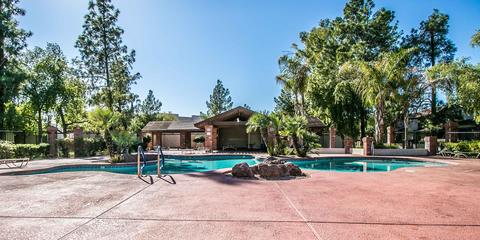 170 E Guadalupe Rd #145, Gilbert, AZ 85234 photo 5