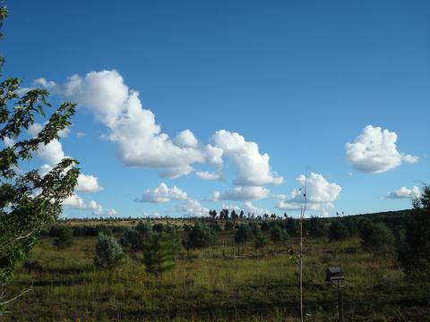 2668 Lodge Loop, Overgaard, AZ 85933 photo 26
