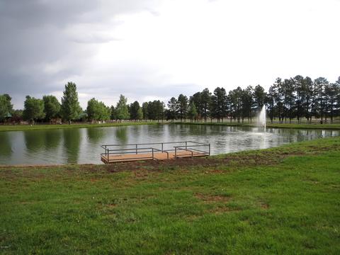 2668 Lodge Loop, Overgaard, AZ 85933 photo 30